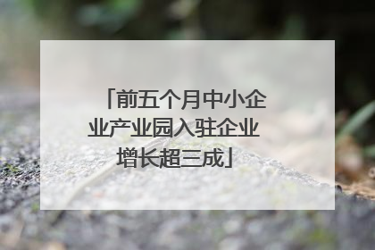 前五个月中小企业产业园入驻企业增长超三成