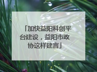 加快益阳科创平台建设，益阳市政协这样建言