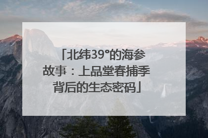 北纬39°的海参故事：上品堂春捕季背后的生态密码