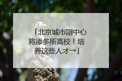 北京城市副中心将添多所高校！培养这些人才→