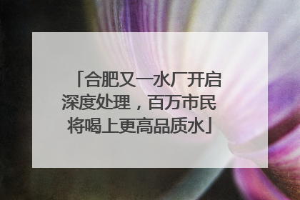 合肥又一水厂开启深度处理，百万市民将喝上更高品质水
