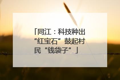 同江：科技种出“红宝石”鼓起村民“钱袋子”
