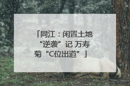 同江：闲置土地“逆袭”记 万寿菊“C位出道”