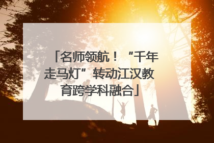 名师领航！“千年走马灯”转动江汉教育跨学科融合