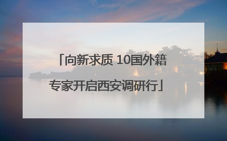 向新求质 10国外籍专家开启西安调研行