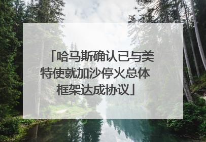 哈马斯确认已与美特使就加沙停火总体框架达成协议