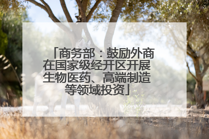 商务部：鼓励外商在国家级经开区开展生物医药、高端制造等领域投资