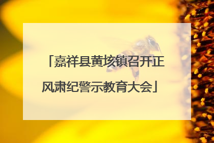 嘉祥县黄垓镇召开正风肃纪警示教育大会