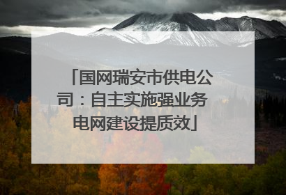 国网瑞安市供电公司：自主实施强业务 电网建设提质效