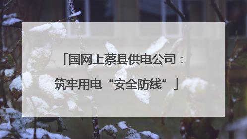 国网上蔡县供电公司：筑牢用电“安全防线”