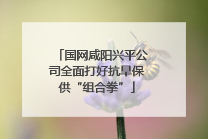 国网咸阳兴平公司全面打好抗旱保供“组合拳”