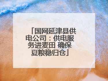 国网延津县供电公司：供电服务进麦田 确保夏粮稳归仓