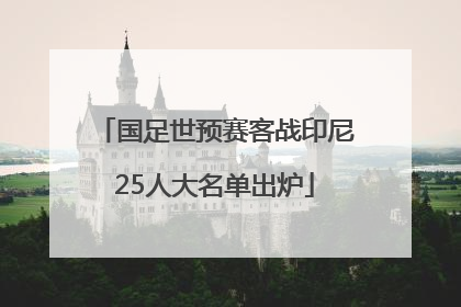 国足世预赛客战印尼25人大名单出炉
