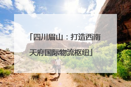 四川眉山：打造西南天府国际物流枢纽
