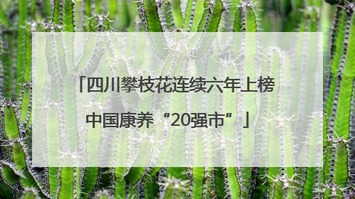 四川攀枝花连续六年上榜中国康养“20强市”