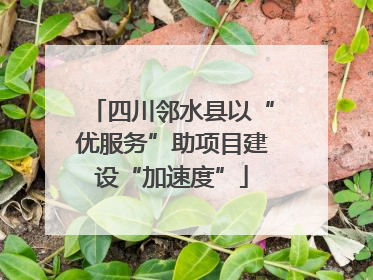四川邻水县以“优服务”助项目建设“加速度”