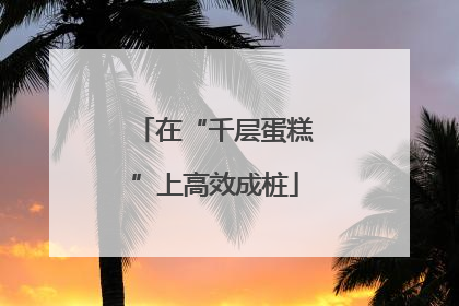 在“千层蛋糕”上高效成桩
