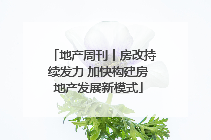 地产周刊丨房改持续发力 加快构建房地产发展新模式