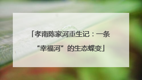 孝南陈家河重生记：一条“幸福河”的生态蝶变