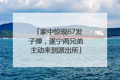 家中惊现67发子弹，遂宁两兄弟主动来到派出所