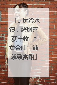 宁远冷水镇：烤烟喜获丰收 “黄金叶”铺就致富路