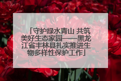 守护绿水青山 共筑美好生态家园——黑龙江省丰林县扎实推进生物多样性保护工作