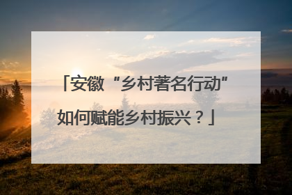 安徽“乡村著名行动”如何赋能乡村振兴？
