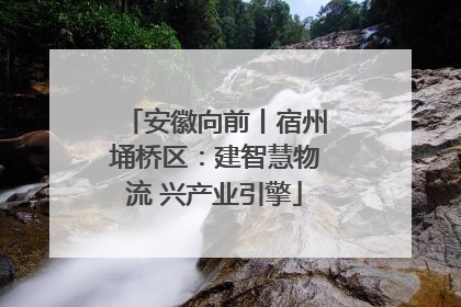 安徽向前丨宿州埇桥区：建智慧物流 兴产业引擎