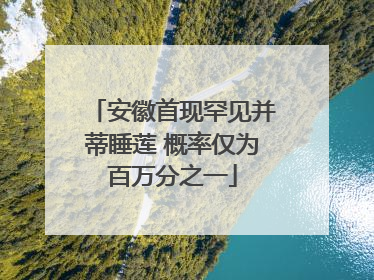 安徽首现罕见并蒂睡莲 概率仅为百万分之一
