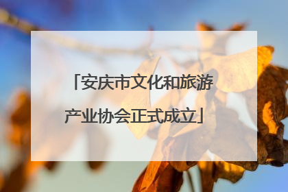 安庆市文化和旅游产业协会正式成立