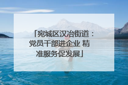宛城区汉冶街道：党员干部进企业 精准服务促发展