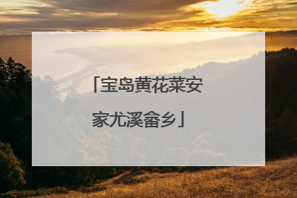 宝岛黄花菜安家尤溪畲乡