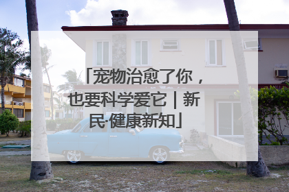宠物治愈了你，也要科学爱它｜新民·健康新知
