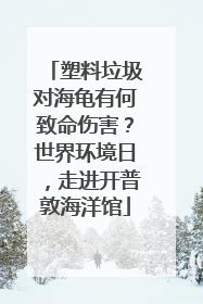 塑料垃圾对海龟有何致命伤害？世界环境日，走进开普敦海洋馆