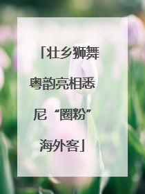 壮乡狮舞粤韵亮相悉尼“圈粉”海外客