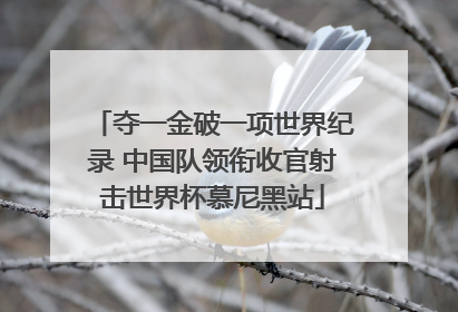 夺一金破一项世界纪录 中国队领衔收官射击世界杯慕尼黑站