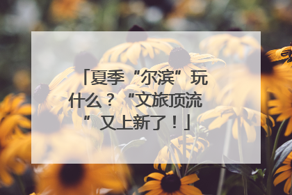 夏季“尔滨”玩什么？“文旅顶流”又上新了！