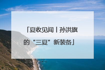 夏收见闻丨孙洪旗的“三夏”新装备