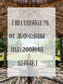 夏日赏荷正当时 茶亭公园展出近200种精品荷花