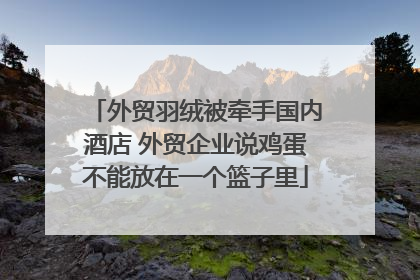 外贸羽绒被牵手国内酒店 外贸企业说鸡蛋不能放在一个篮子里
