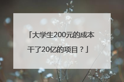 大学生200元的成本干了20亿的项目？