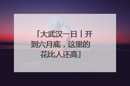 大武汉一日︱开到六月底，这里的花比人还高