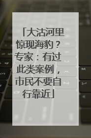 大沽河里惊现海豹？专家：有过此类案例，市民不要自行靠近