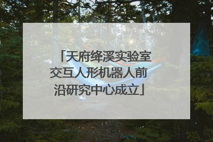 天府绛溪实验室交互人形机器人前沿研究中心成立