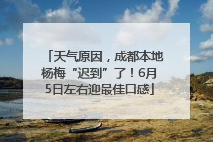 天气原因，成都本地杨梅“迟到”了！6月5日左右迎最佳口感