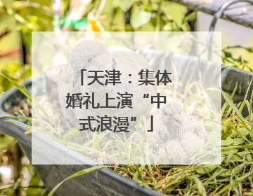 天津：集体婚礼上演“中式浪漫”