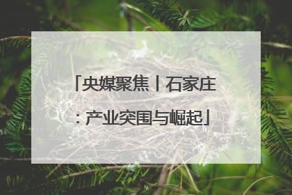 央媒聚焦丨石家庄：产业突围与崛起