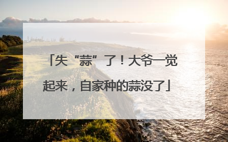 失“蒜”了！大爷一觉起来，自家种的蒜没了