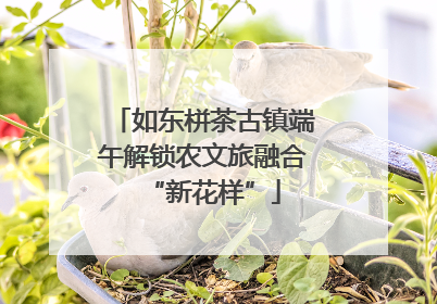 如东栟茶古镇端午解锁农文旅融合“新花样”