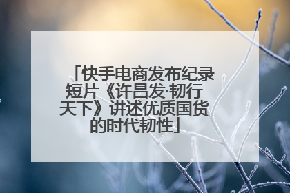 快手电商发布纪录短片《许昌发·韧行天下》讲述优质国货的时代韧性